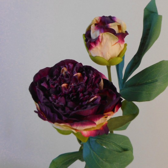 Antique Peony Burgundy 50cm Faux Dried Flowers
